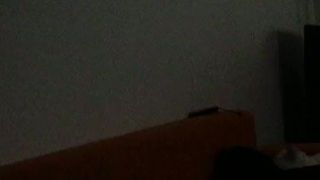 Kocúr akrobat