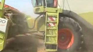 Claas Lexion 600 na poli