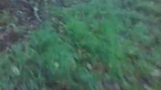 Nezodpovedny pristup k zivotnemu prostrediu
