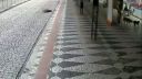 Autobus vs.psia svorka