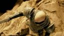Riddick Debut Trailer