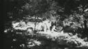 Prežitie leto 4 ČSĽA 1971