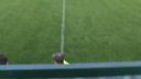Radoľa - St.Bystrica 4:0