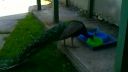 ZOO KOŠICE 1