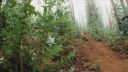 Downhill Mountain Biking