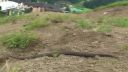 Donovaly ride cup 2009 MtB Downhill