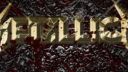 Metallica - Bleeding Me
