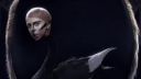Lady Gaga - THE APPLAUSE (oficiálne video)