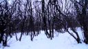Test stabilizátoru Glidecam HD - 2000