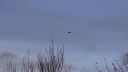 Kutočné UFO s mimozemšťanmi - 06.12.2013
