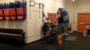 TRX workout