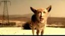 Korn - Word Up