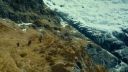 The Hobbit - Call of Home