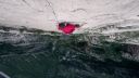 Alex Honnold