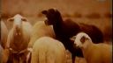 The KLF - What Time Is Love