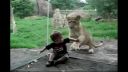 video Zvery zo zoo vs. deti