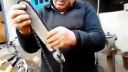 video Improvizovaná elektrická píla na drevo (ruský zlepšovák)