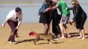 video Rozzúrený pes napadol ľudí na pláži