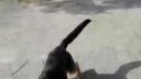 Gina story