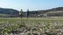 Forest freerun - FreeJumpers crew