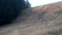 Pitbike 125