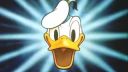 Káčer donald - jablká a veveričky
