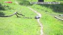 video Šokujúca samovražda zachytená kamerou