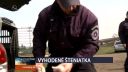 Šteniatka v Spišskej Belej