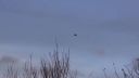Real UFO