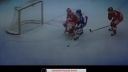 The best of Slovak Hockey 
