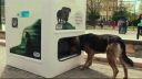 video Automaty recyklujú plasty a zároveň kŕmia túlavé psy