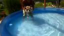 Bulldog - korytnačka :)