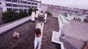 Assassins Creed v reálnom živote