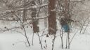 Snow - scoot