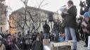 Protest Gorila - Dáša Tonková