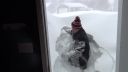 video Snehový armagedon (Kanada)