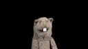 Vertical Video Syndrome
