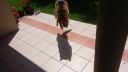 video Pes, ktorý zistil, že má tieň