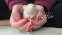video Svoje tri potkany naučila skvelé triky