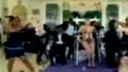 Lady GaGa - Paparazzi