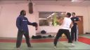 Donnie Yen Training
