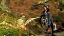 Autumn Bike