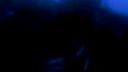 Nightwish - The Siren