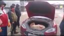 Koľko ovečiek sa zmestí do Tesly? (Kazachstan)