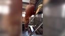 video Keď orangutan zapne rozum naplno