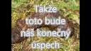 Voľby 2016 - Umývanie a šampónovanie hovna (2)