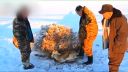 video Na kosť (Mongolsko)