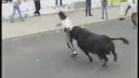 Corrida Español