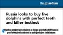 Absurdita médií: Ruské KGB delfíny