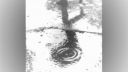 Bonnie Tyler - Have You Ever Seen The Rain - D. Videos